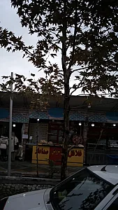 اغذیه صدا دار