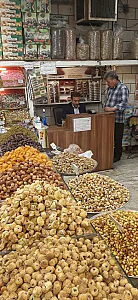 خشکبار یگانه