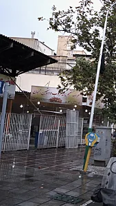 عرضه مستقیم پسته مرغوب و دستچین رفسنجان