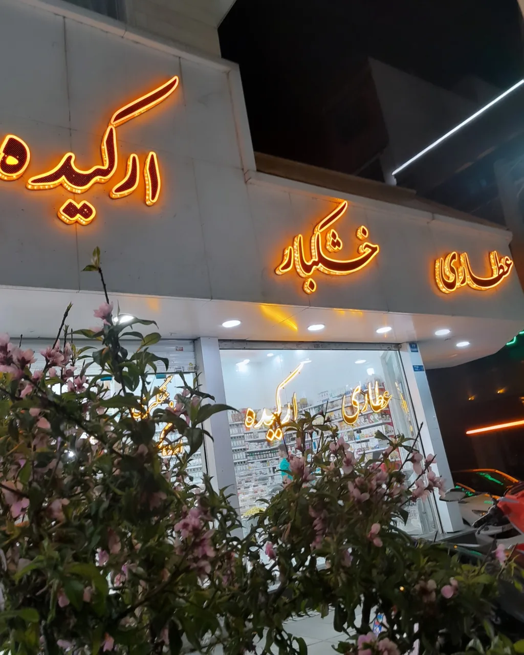 عطاری و خشکبار ارکیده - تصویر 2