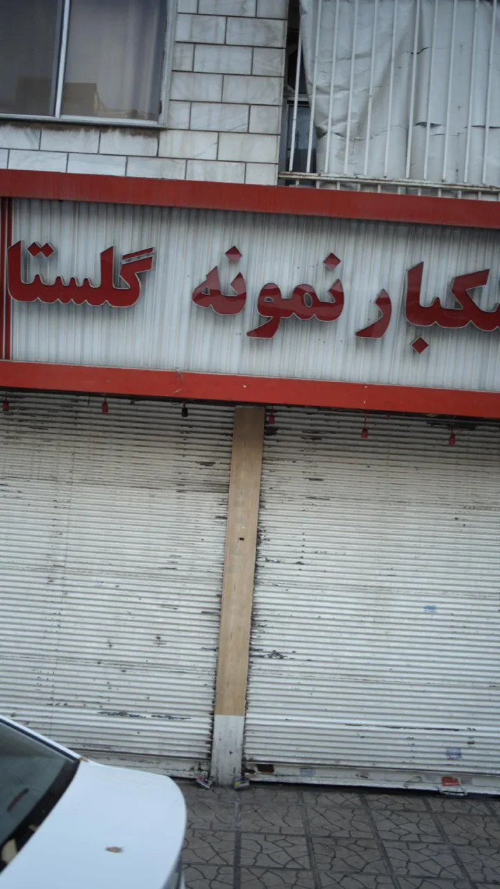 خشکبار نمونه گلستان - تصویر 2