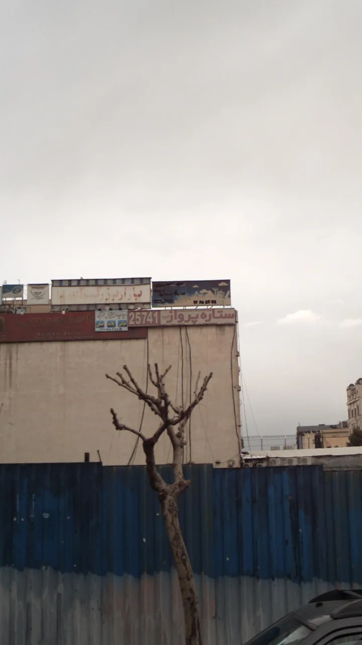 ستاره پرواز - تصویر 2