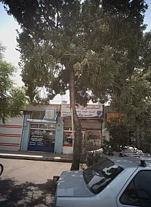 هجرت تور