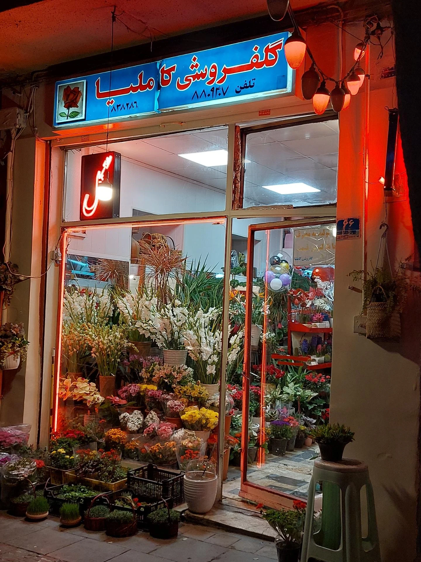 پخش گلچین - تصویر 2