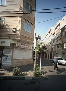 تم تولدی سوروسات