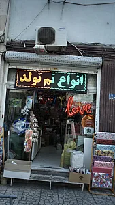 انواع تم تولد