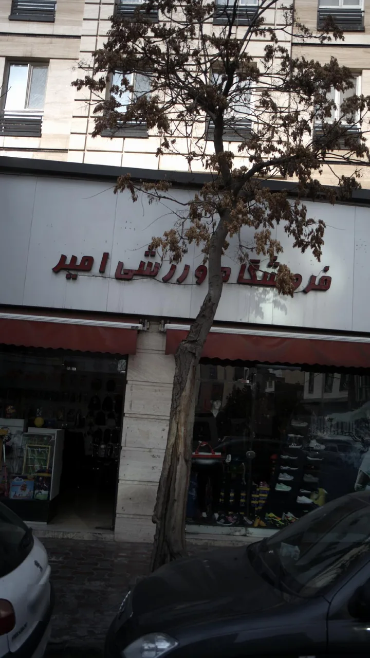 فروشگاه ورزشی امیر - تصویر 2
