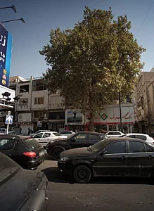 فروشگاه قلهک اسپرت