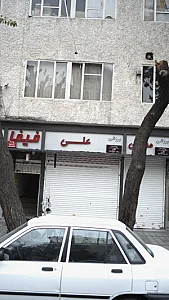 ورزشی علی