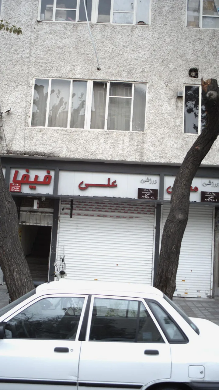 ورزشی علی