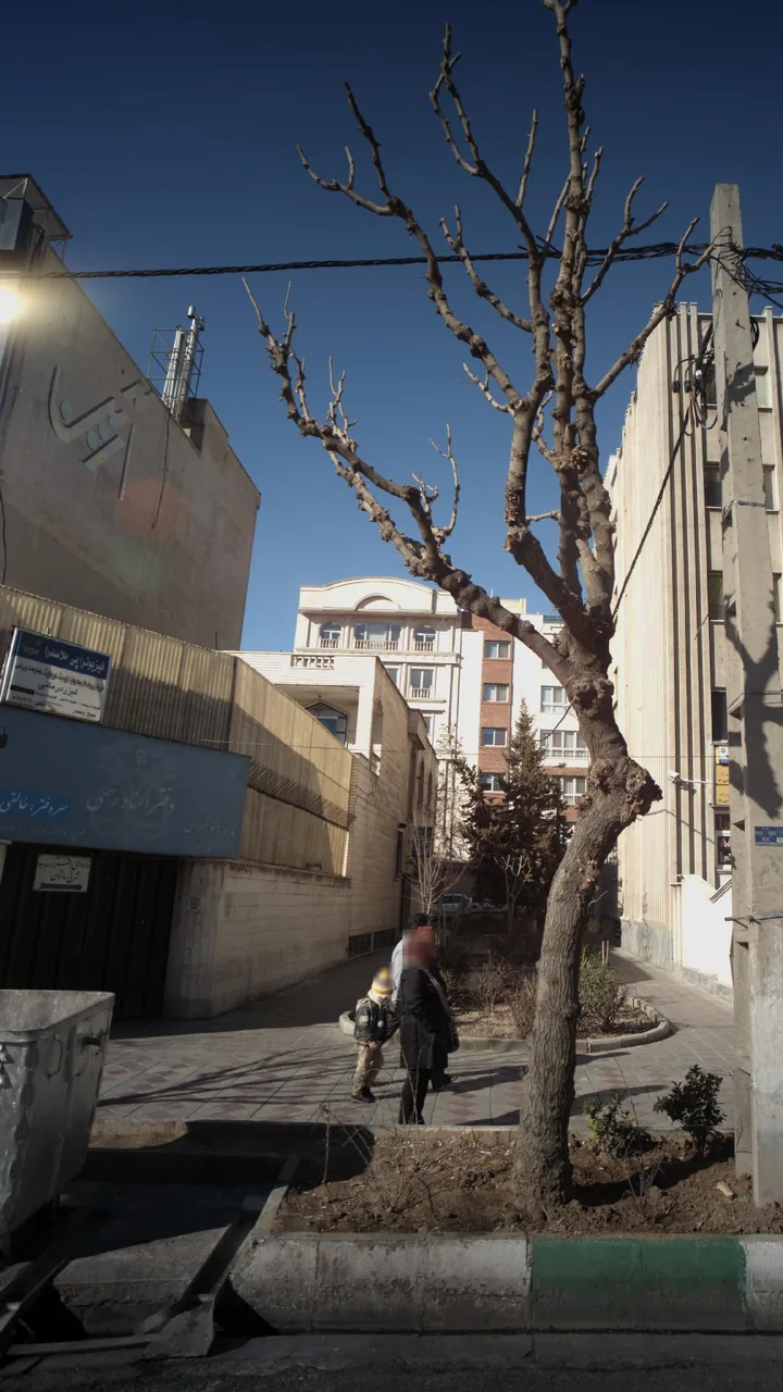 فیزیوتراپی ملاصدرا - تصویر 2