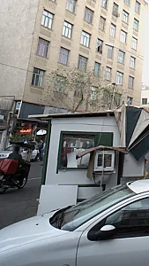 گیاهان دارویی