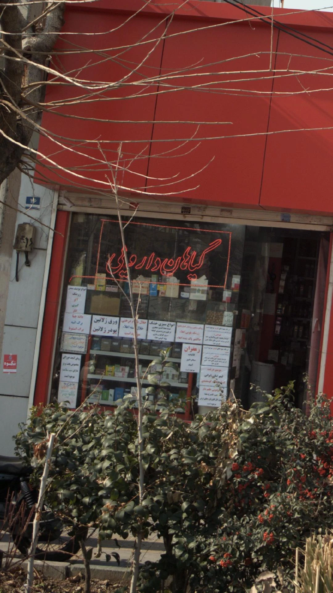 عطاری امیر گیاهان دارویی