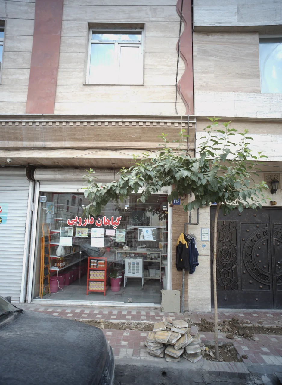 گیاهان دارویی