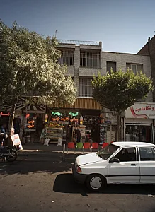 گیاهان دارویی