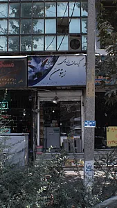 گیاهان داروئی زیتون