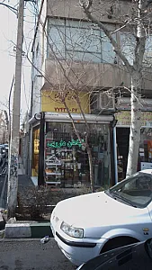 گلبرگ سینا