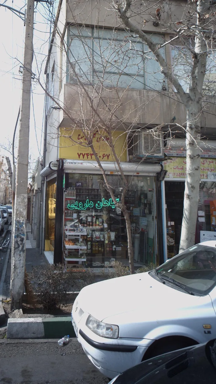 گلبرگ سینا