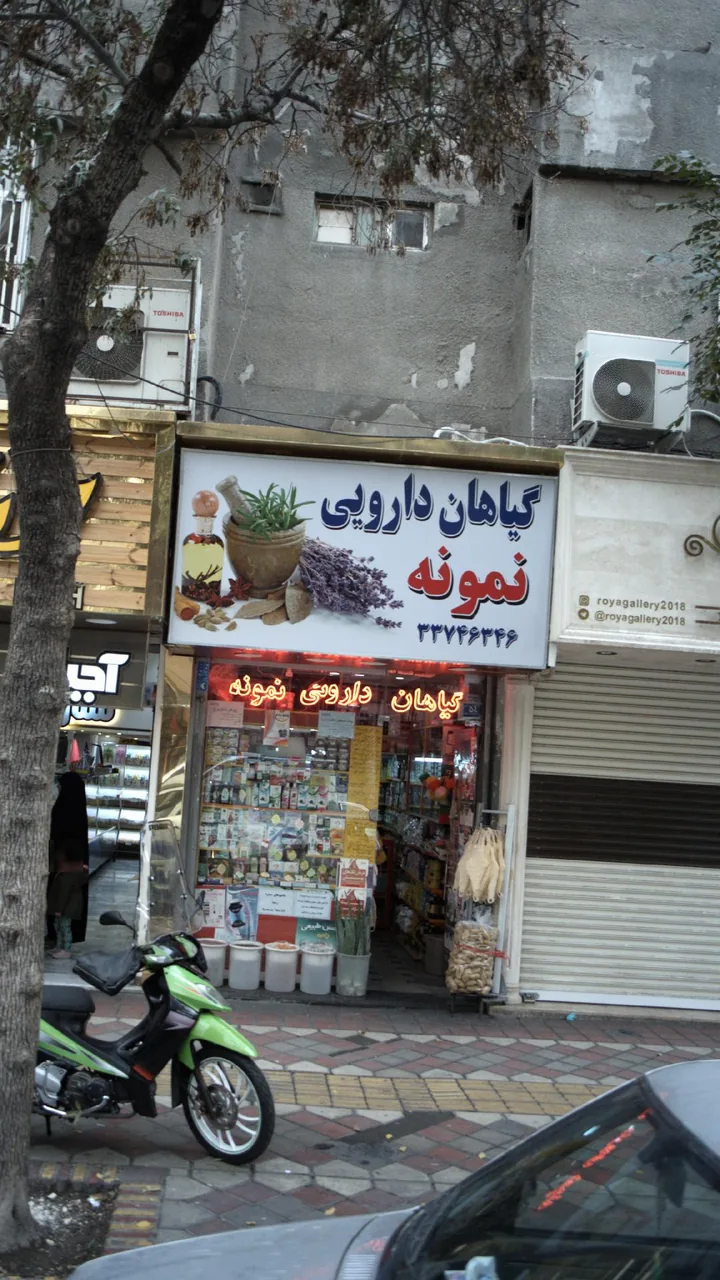 گیاهان دارویی نمونه