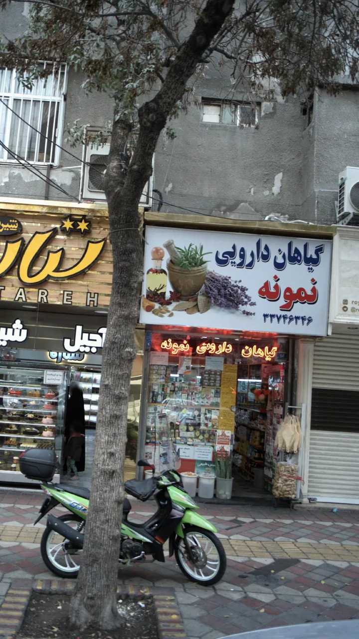 گیاهان دارویی نمونه - تصویر 3
