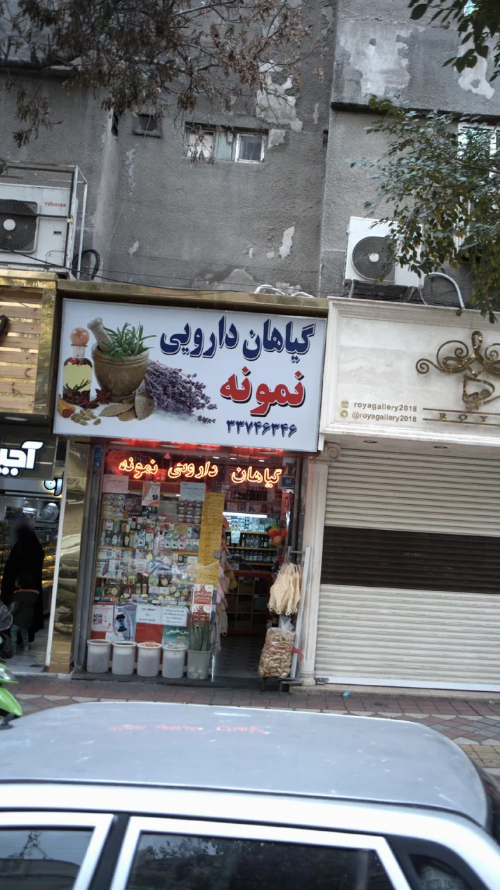 گیاهان دارویی نمونه - تصویر 4