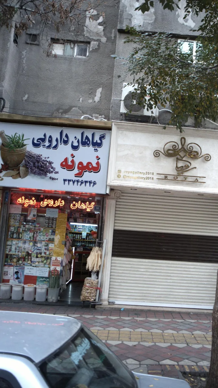 گیاهان دارویی نمونه - تصویر 5