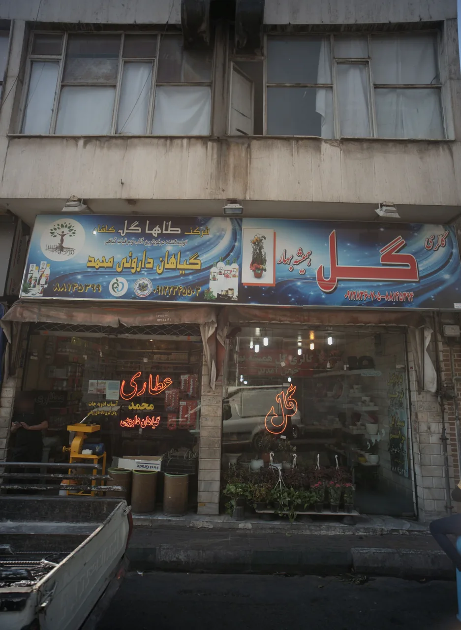 گیاهان داروئی محمد
