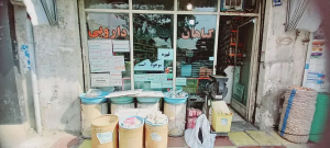 گیاهان دارویی عسگرزاده