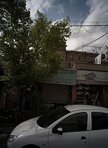 گیاهان دارویی گلسرخ