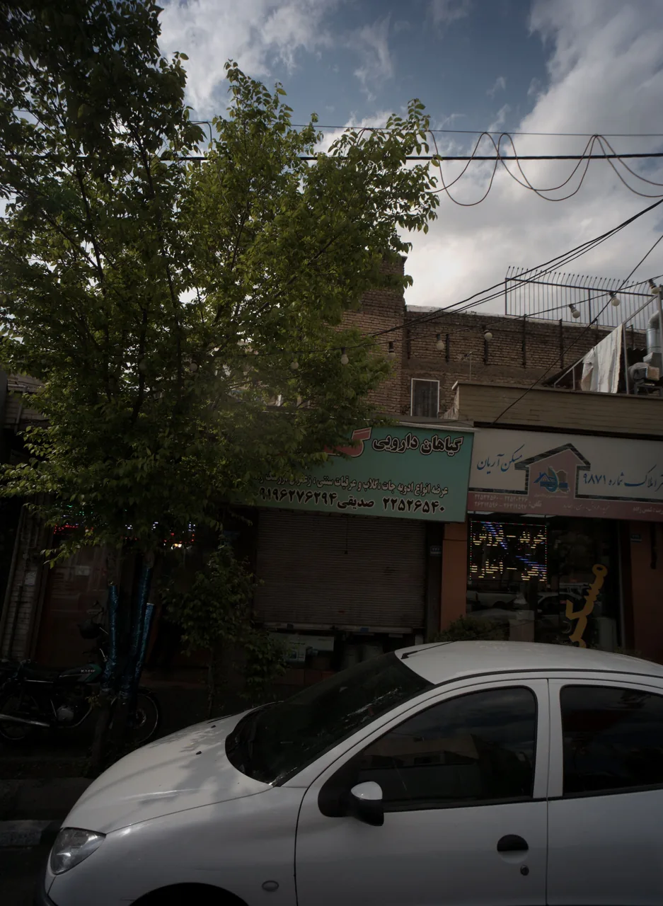 گیاهان دارویی گلسرخ