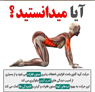 عطاری پوریا