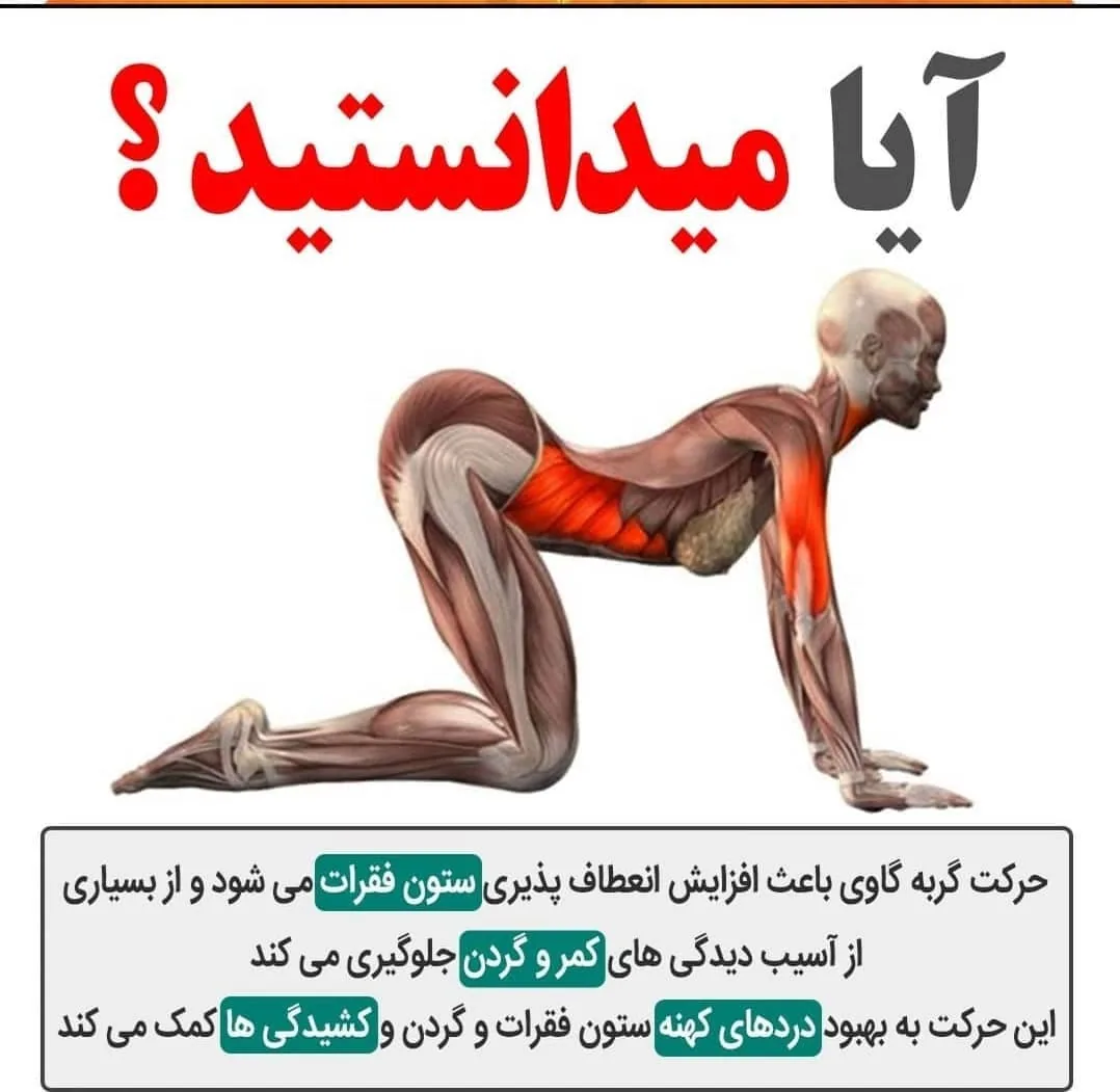 عطاری پوریا
