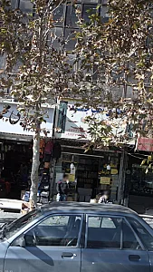 عطاری تخت جمشید