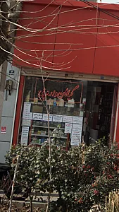 ستاد گیاهان دارویی