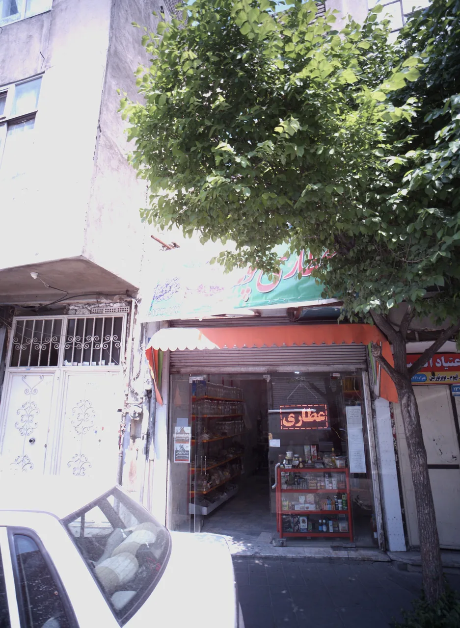 عطاری پونه