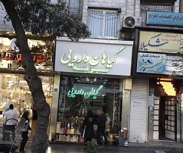 گیاهان دارویی سبزینه