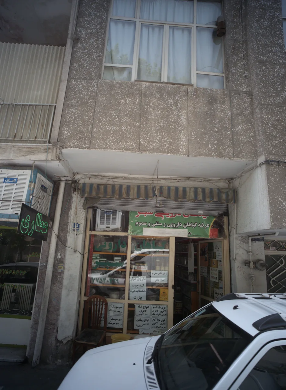 گیاهان دارویی سبز