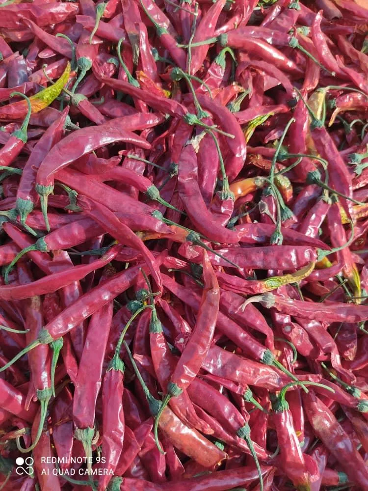 پخش عطاری سیب سبز - طب سنتی و عطاری در تهران - تصویر 2