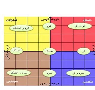 عطاری و گیاهان دارویی زیتون