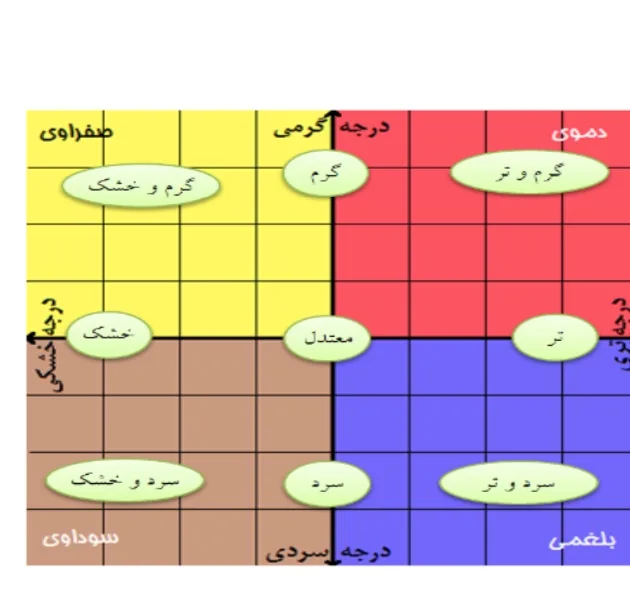 عطاری و گیاهان دارویی زیتون
