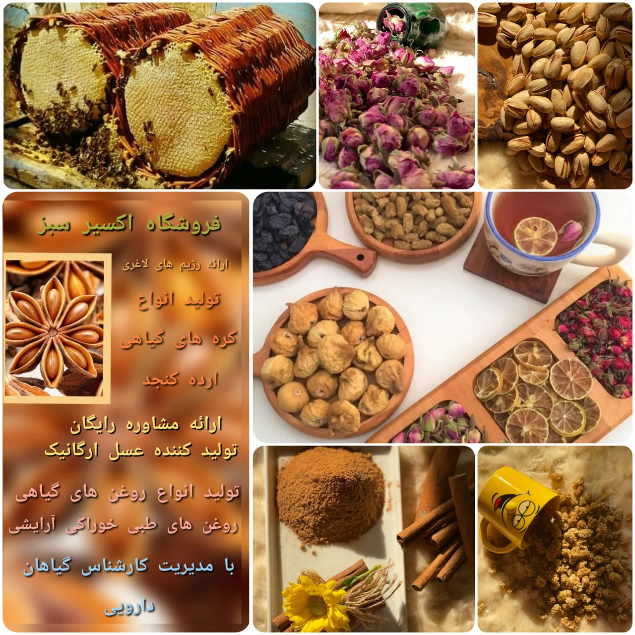 عطاری اکسیر سبز - تصویر 2