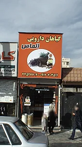 گیاهان دارویی الماس