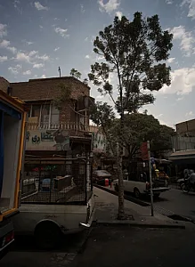 عطاری گل گندم