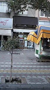 عطاری زندی