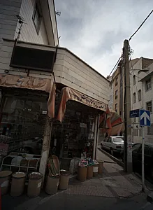 گیاهان دارویی