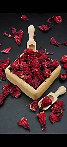 روغنکده سلیمی