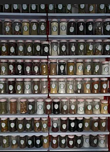 گیاهان دارویی و عطاری دلژین