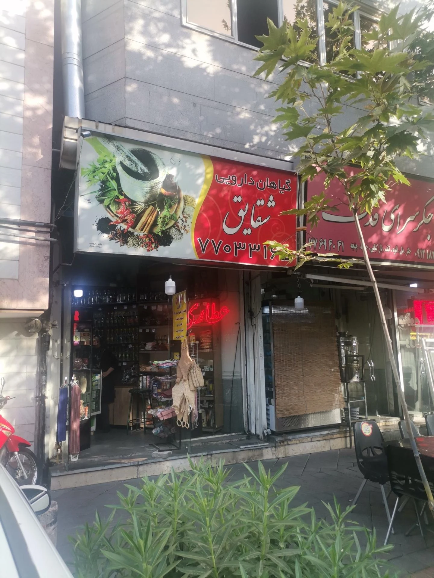 گیاهان دارویی عطار نیشابوری