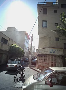 گیاهان دارویی سی گل