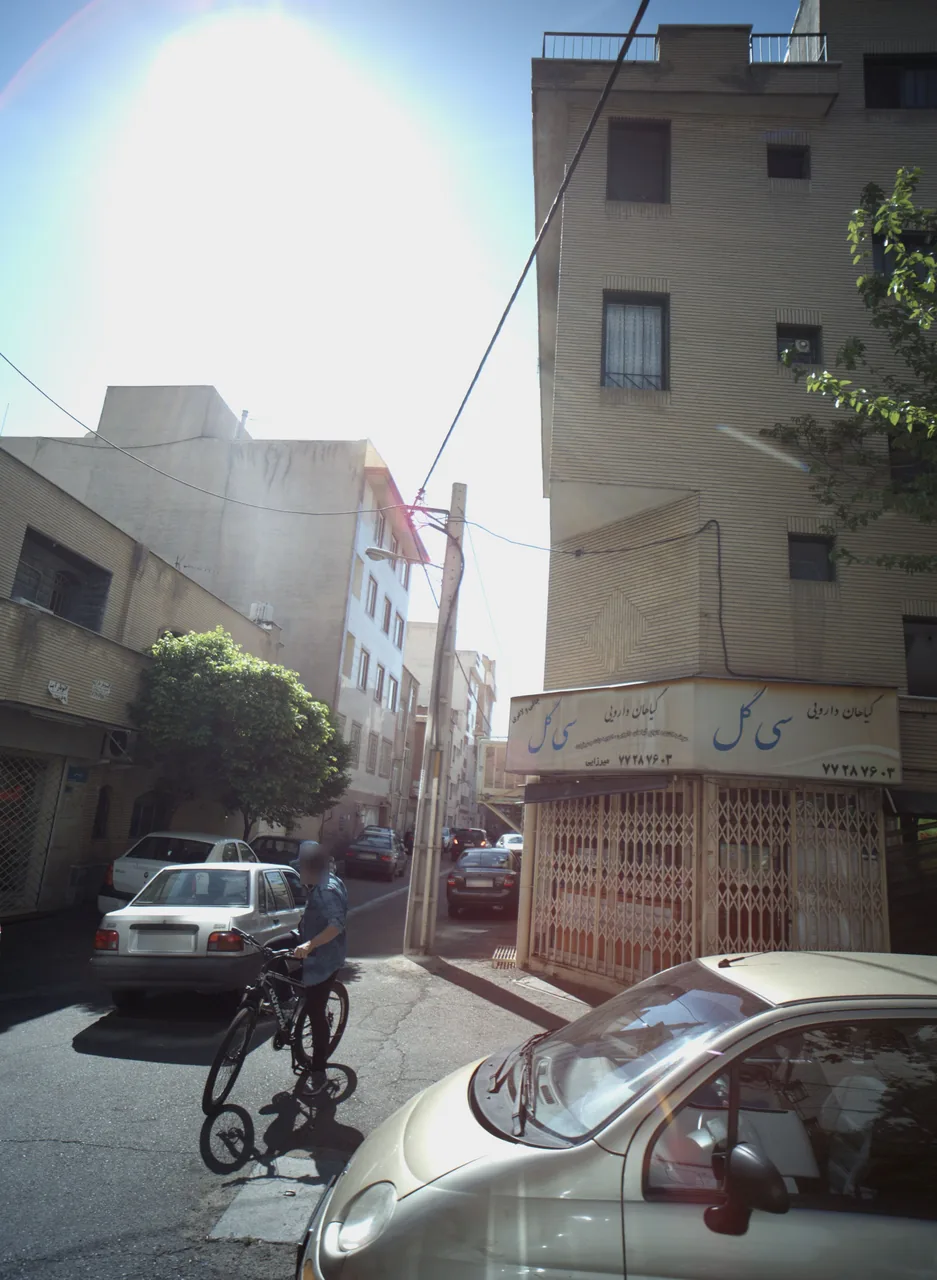 گیاهان دارویی سی گل